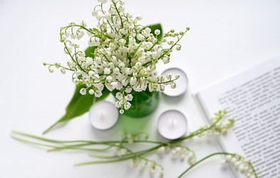 Similar image 21381875