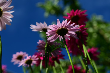 Similar image 21381878