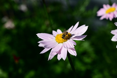 Similar image 21381879