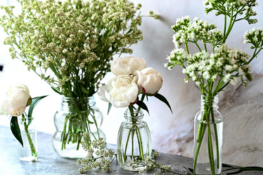 Similar image 21381882