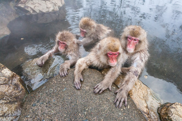 Similar image 21363225