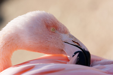 Similar image 21363231