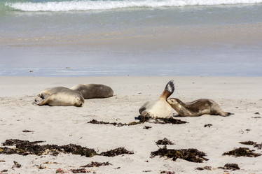 Similar image 21363237