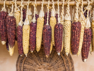 Similar image 21363242