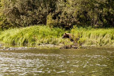 Similar image 21363257