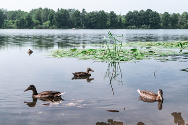 Similar image 21375711