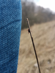 Similar image 21369057