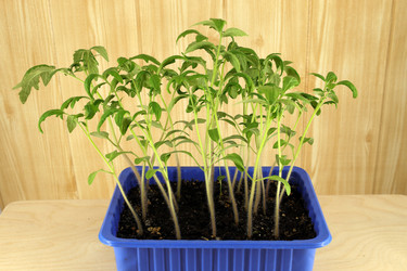 Similar image 21368904