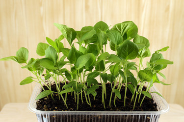 Similar image 21368905