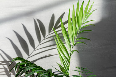 Similar image 21380316