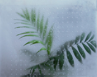 Similar image 21375720