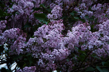 Similar image 21379131