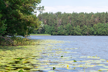 Similar image 21379139