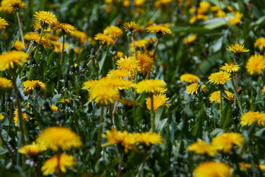 Similar image 21379143