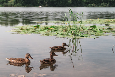 Similar image 21375726