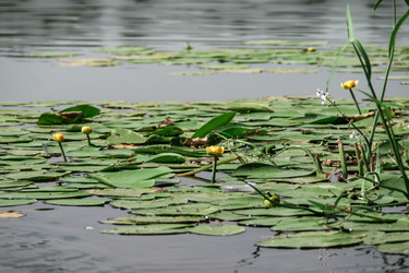 Similar image 21379145