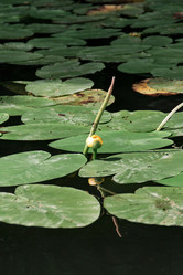 Similar image 21379146