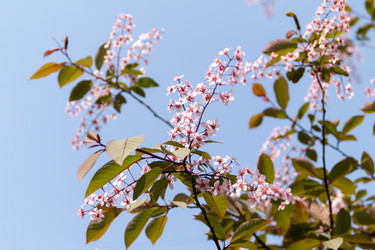 Similar image 21379152