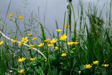 Similar image 21375729