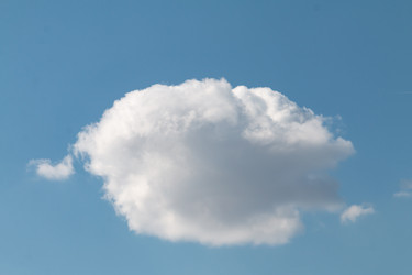 Similar image 21379154