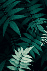 Similar image 21379155