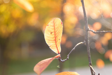 Similar image 21379156