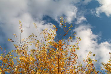 Similar image 21379157