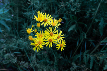 Similar image 21379159