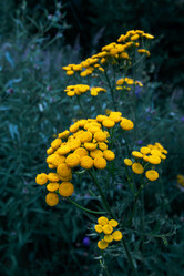 Similar image 21375732