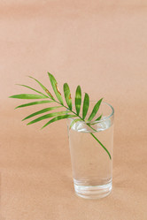 Similar image 21375733