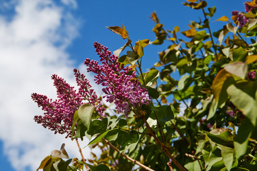 Similar image 21375736