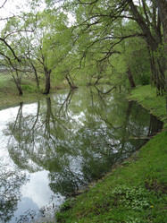 Similar image 21368910