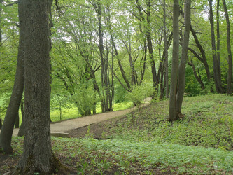 Similar image 21368911