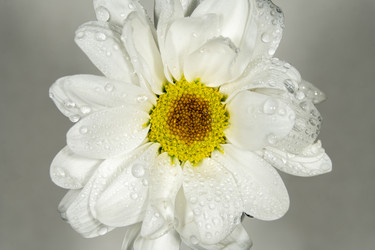 Similar image 21369093