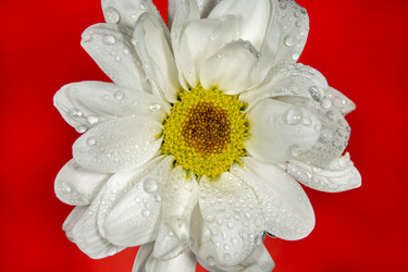 Similar image 21369094