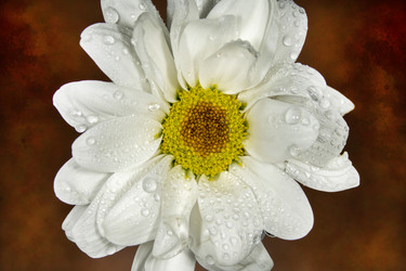 Similar image 21369095