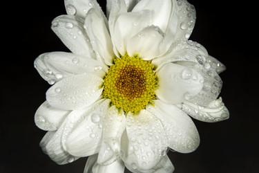 Similar image 21369096