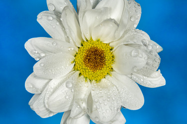 Similar image 21369097