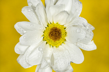 Similar image 21369098