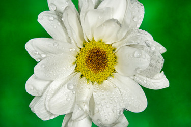 Similar image 21369099