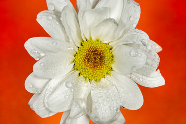 Similar image 21369101