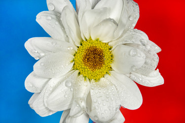 Similar image 21369103