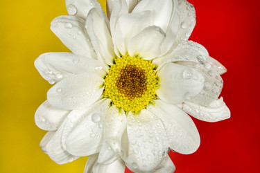 Similar image 21369109