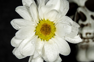 Similar image 21369112