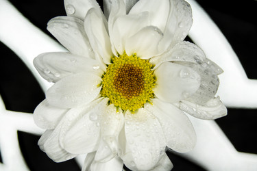 Similar image 21369113