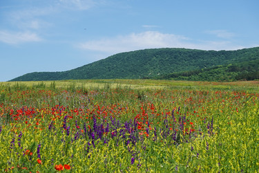 Similar image 21363473