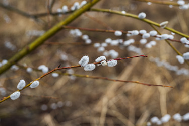 Similar image 21369136