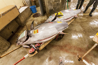 Similar image 21363544