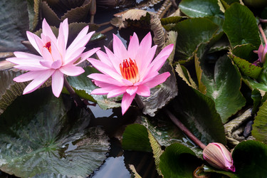 Similar image 21363545