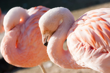 Similar image 21363547